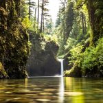 43717309852_20bac8cc7a_k