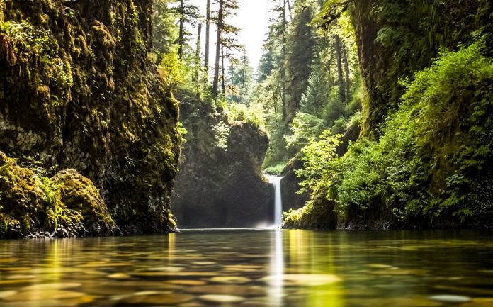 L’intégrité de la Nature ou le mythe du jardin originel.