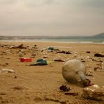 beach-4914403_1280