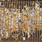 cigarettes-5116912_1920
