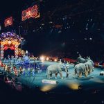 circus-828680_1280