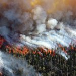 forest_fire_blaze_smoke_trees_heat_burning_hot-829213.jpg!d