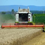 harvest-6476215_1920