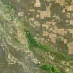 Les étendues sauvages du Gran Chaco font peu à peu place à des monocultures et des pâturages. – NASA Earth Observatory image by Michael Taylor, using Landsat data from the U.S. Geological Survey.
