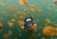 Les Espèces Exotiques Envahissantes : seconde plus grande menace sur la biodiversité