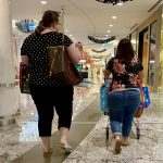 politique sanitaire française 1