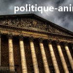 10702230_716003988468781_9084289339345069527_n