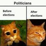 243223600_975624062995010_5505290538883499645_n