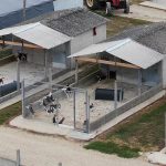 Beagles-au-CEDS-MBR_One-Voi