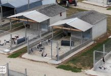 Élevage de chiens pour les laboratoires à Mézilles, révélations et images inédites de One Voice