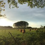 Campagne-Aurélie-Delahaye-1