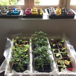 Campagne-Aurélie-Delahaye-2