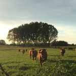 Campagne-Aurélie-Delahaye-T