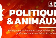 Politique-animaux.fr : un site pour connaître les positions des élus sur la cause animale.