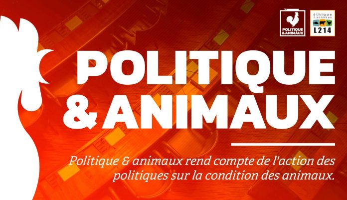 Politique-animaux.fr : un site pour connaître les positions des élus sur la cause animale.