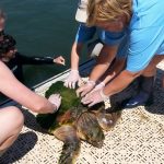 20140619_144721-e1419777888825_auto_x2