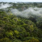 27917858339_6ac70bd1df_b