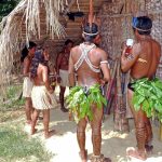 amazon_indians_rainforest_brazil_tropig_nature_indians-1254856