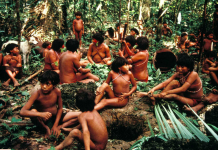 Colonialisme vert : quand des peuples autochtones sont expulsés au nom de l’écologie