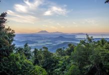 Australie : le gouvernement rend la forêt de Daintree aux aborigènes