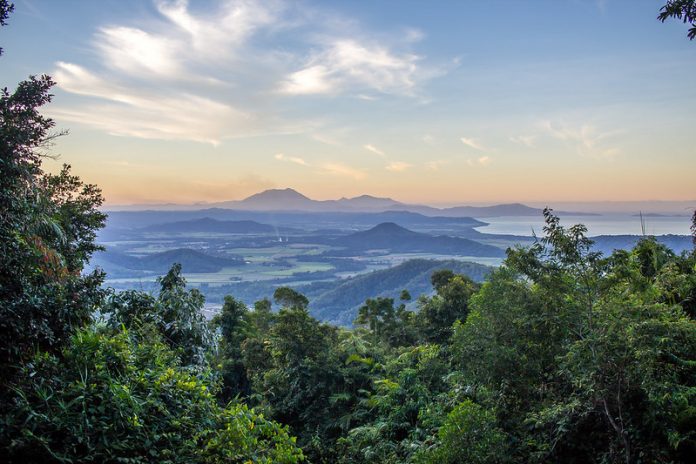 Australie : le gouvernement rend la forêt de Daintree aux aborigènes