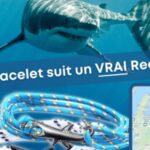 L’arnaque continue : des bracelets chinois pour sauver les animaux…