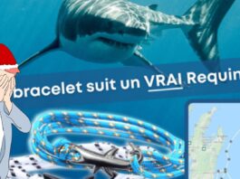 L'arnaque continue : des bracelets chinois pour sauver les animaux...