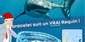 L’arnaque continue : des bracelets chinois pour sauver les animaux… L'arnaque continue : des bracelets chinois pour sauver les animaux...