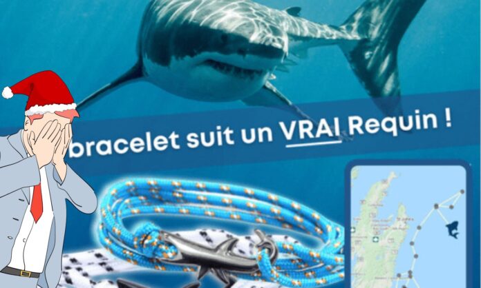 L'arnaque continue : des bracelets chinois pour sauver les animaux...