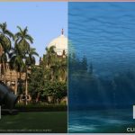 IND__0__Mumbai__Chhatrapati_Shivaji_Maharaj_Vastu_Sangrahalaya__L13__labels__percent50__left1p5C__right3C
