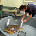 P1040365-e1419779352867