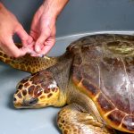 P1040387-e1419779398363