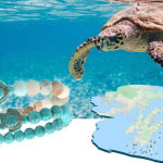 Screenshot 2021-10-12 13.25.59