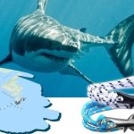 Screenshot-2021-10-12-13.26.07