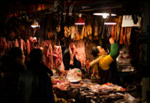 Le lien manifeste entre pandémies et marchés aux animaux