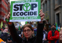 Le cirque des COP dans les yeux de 6 jeunes