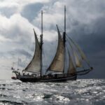 65167525_723484621423227_9044767958163337321_n