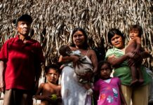 Le peuple Yukpa, menacé par une mine à charbon en Colombie