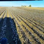 125298036_397126974751341_7722658121375849196_n (1)