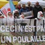 264832875_2154084014747971_7366895054790510954_n