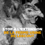 36176087_10156391570319757_3351695621990907904_n