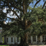 870x489_thumbnail_2-_1_