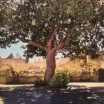 IMG_20211215_184858 (1)