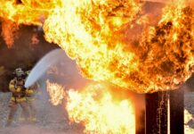 Californie : les feux ont détruit 10 000 séquoias géants