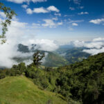 Réserve de Los Cedros