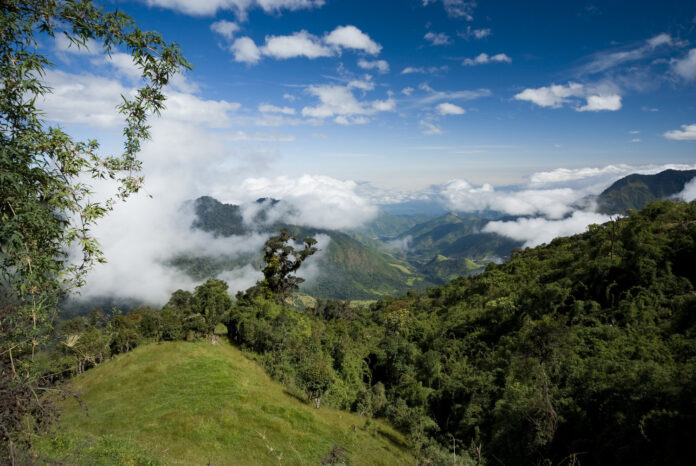 Victoire historique d’une forêt équatoriale contre l’exploitation minière