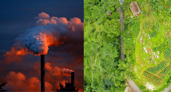 Transition écologique : voici un nouveau scénario possible