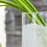 164676798_1005993293469116_9067588632885202069_n