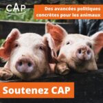 270354898_988943251694063_6494537812319169267_n