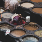 32601271477_6203e46afa_k